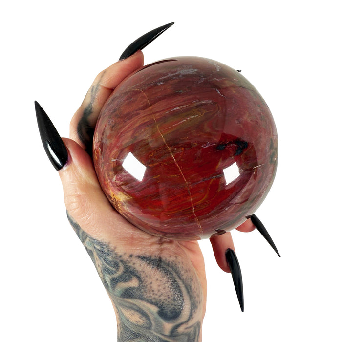 Petrified Wood Sphere 1