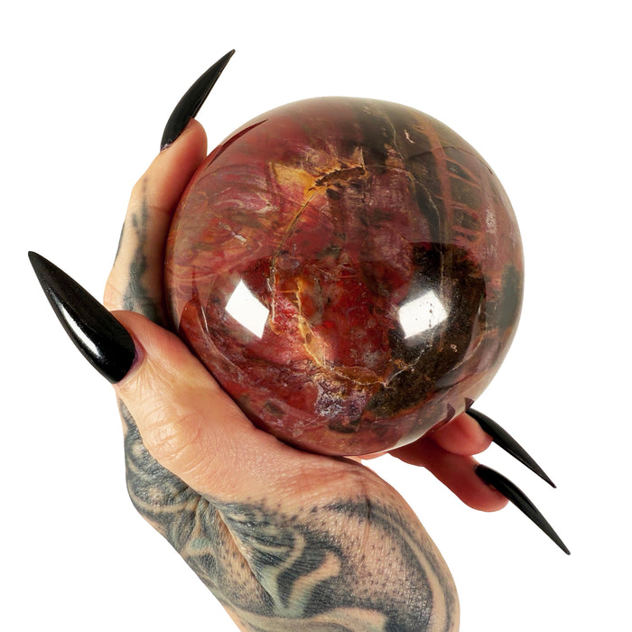 Petrified Wood Sphere 1