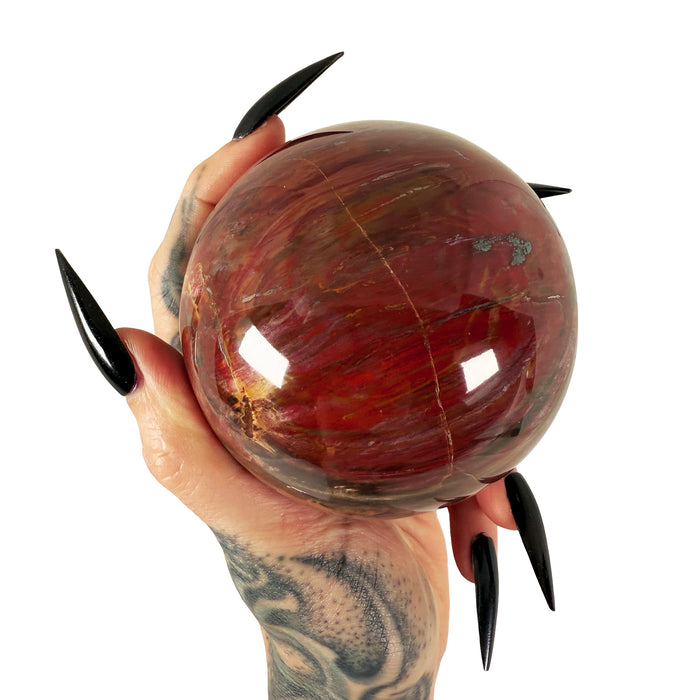 Petrified Wood Sphere 1