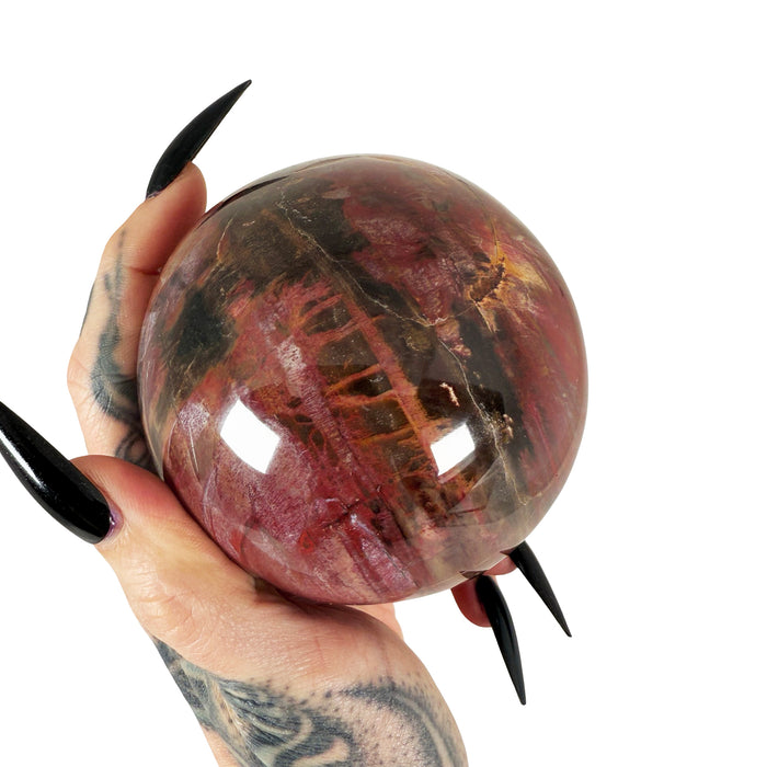 Petrified Wood Sphere 1