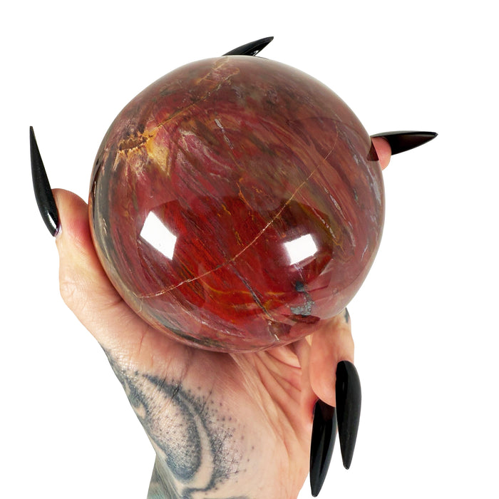 Petrified Wood Sphere 1