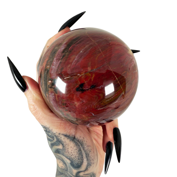 Petrified Wood Sphere 1