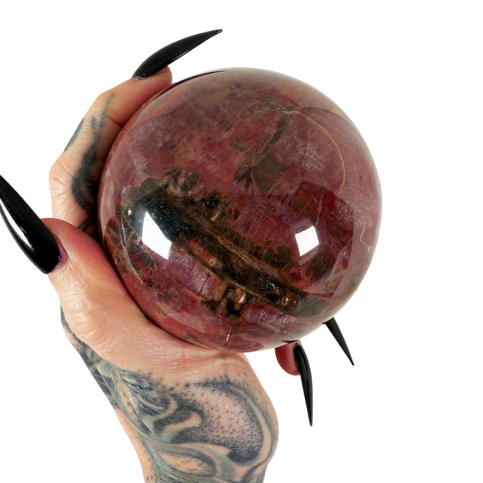 Petrified Wood Sphere 1