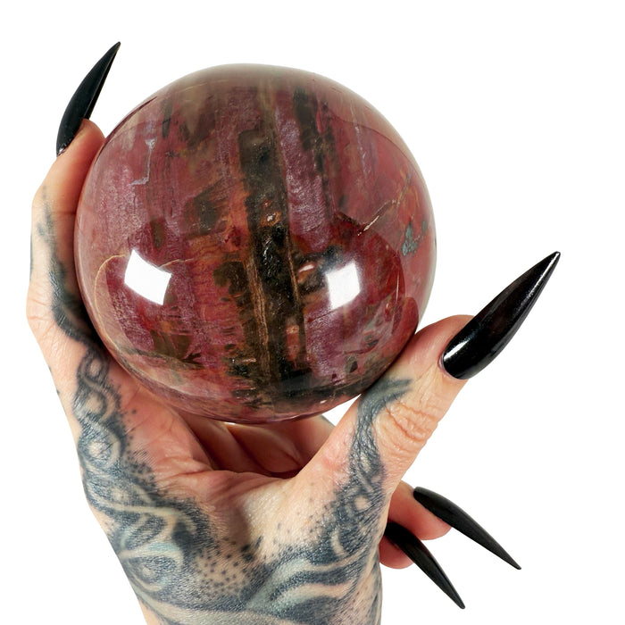 Petrified Wood Sphere 1