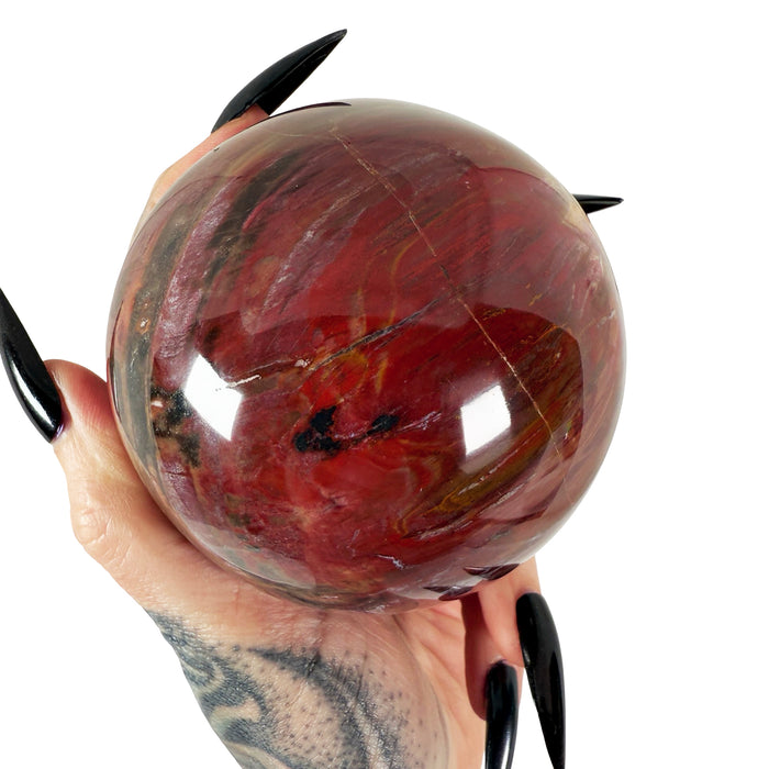 Petrified Wood Sphere 1