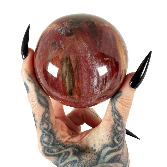 Petrified Wood Sphere 1