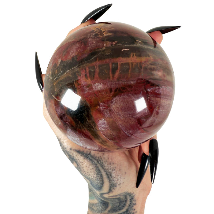 Petrified Wood Sphere 1