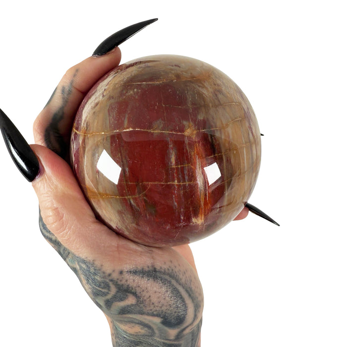 Petrified Wood Sphere 2