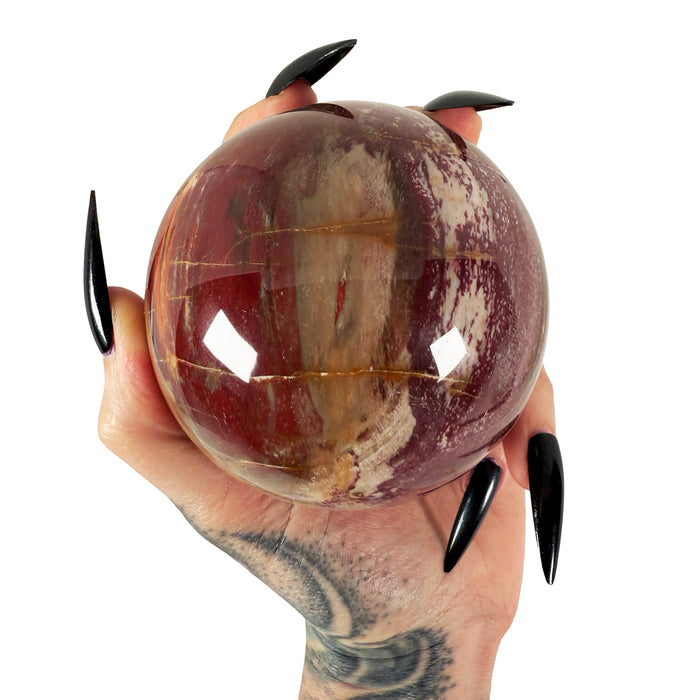 Petrified Wood Sphere 2