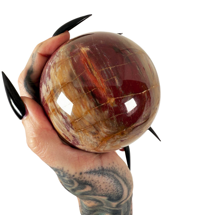 Petrified Wood Sphere 2