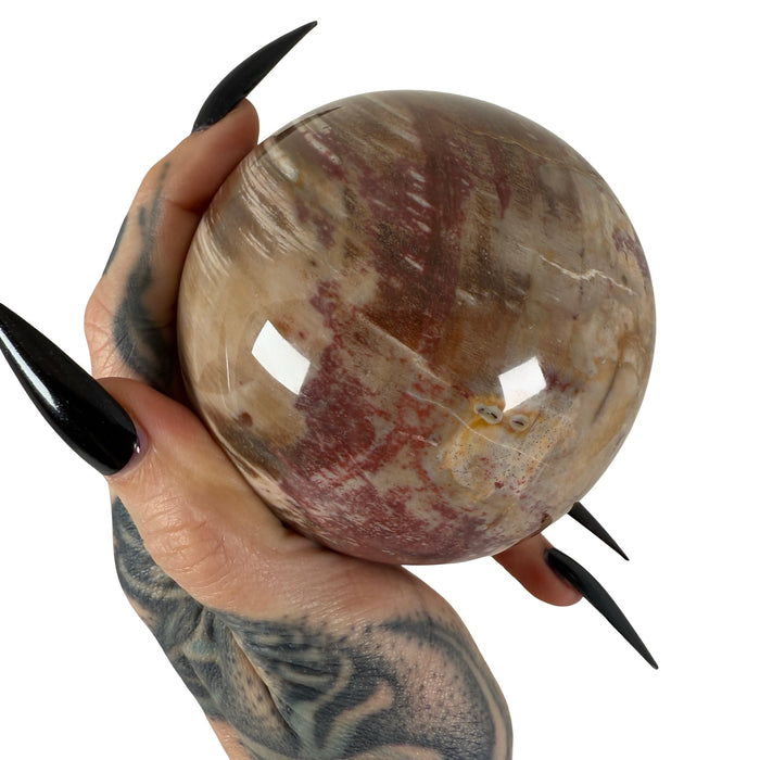 Petrified Wood Sphere 2
