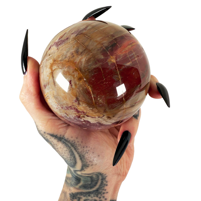 Petrified Wood Sphere 2