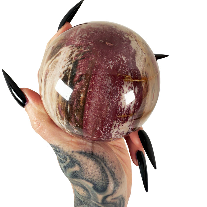 Petrified Wood Sphere 2