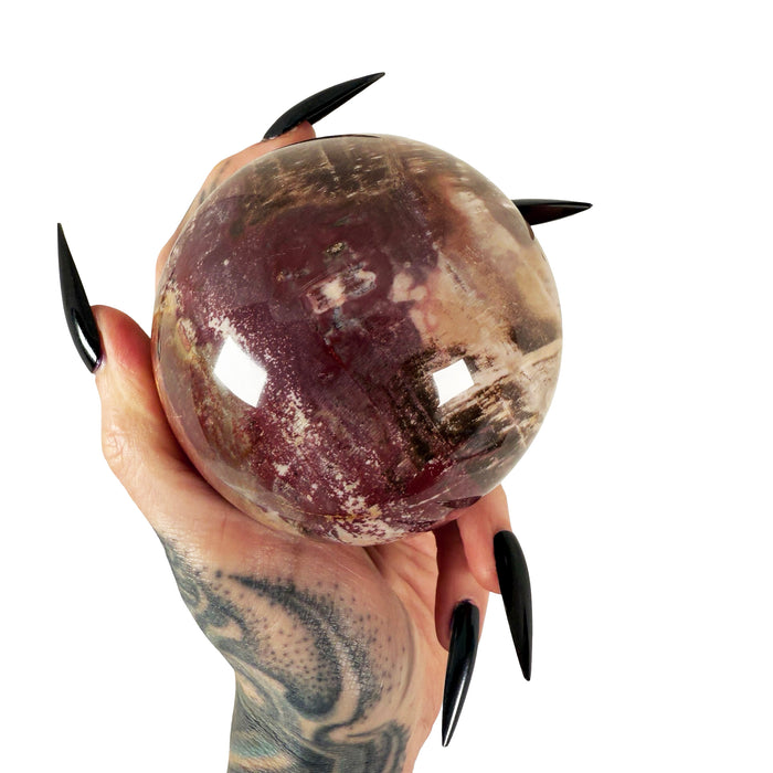 Petrified Wood Sphere 2