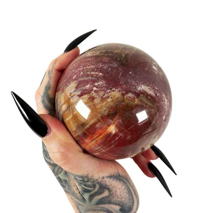 Petrified Wood Sphere 2