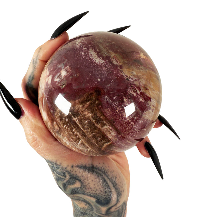Petrified Wood Sphere 2