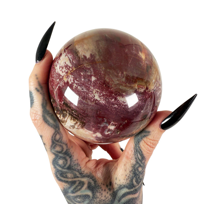 Petrified Wood Sphere 2