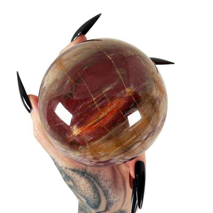 Petrified Wood Sphere 2