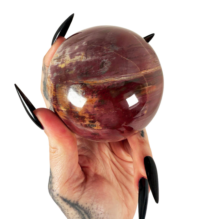 Petrified Wood Sphere 3