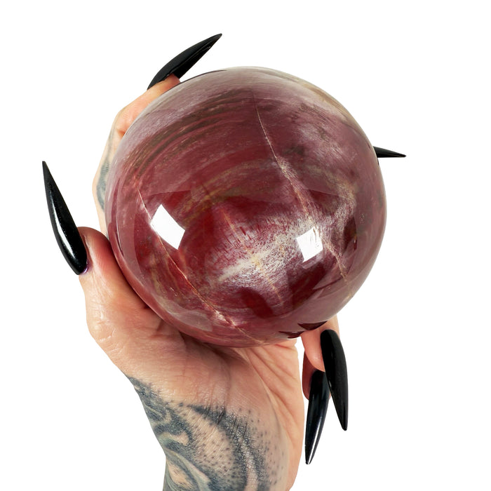 Petrified Wood Sphere 3