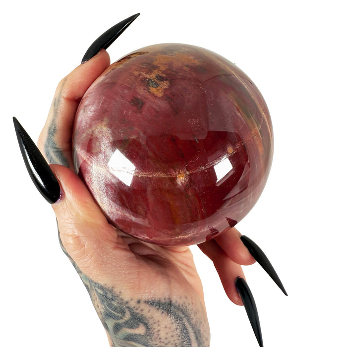 Petrified Wood Sphere 3