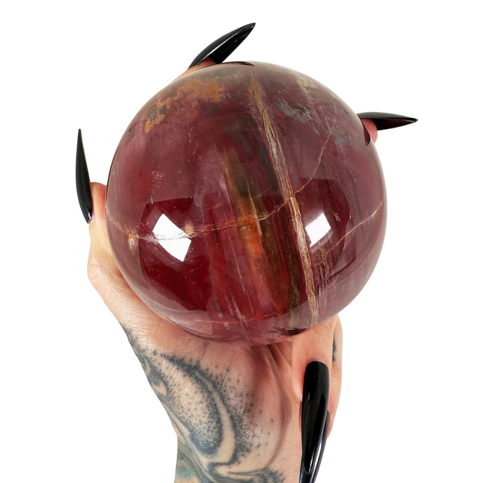 Petrified Wood Sphere 3