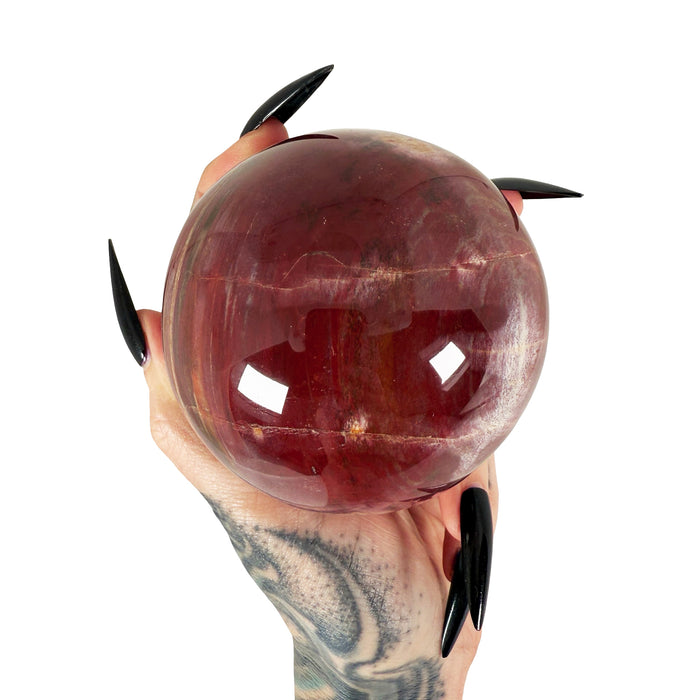 Petrified Wood Sphere 3