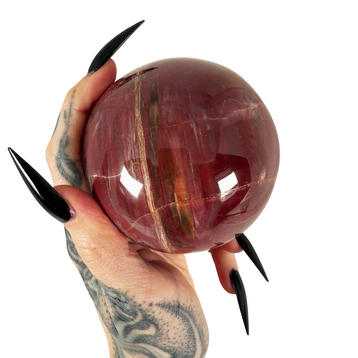 Petrified Wood Sphere 3