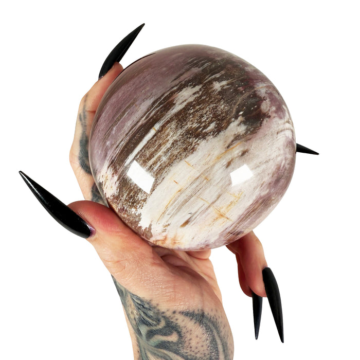 Petrified Wood Sphere 3