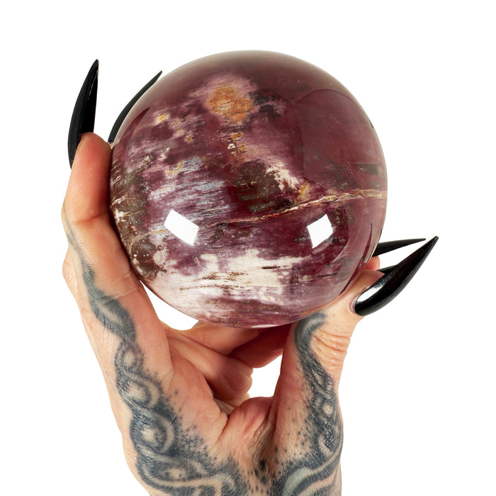 Petrified Wood Sphere 3