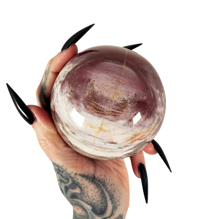 Petrified Wood Sphere 3