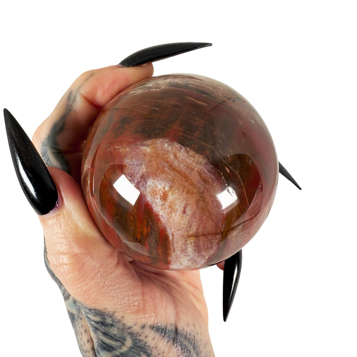 Petrified Wood Sphere 4