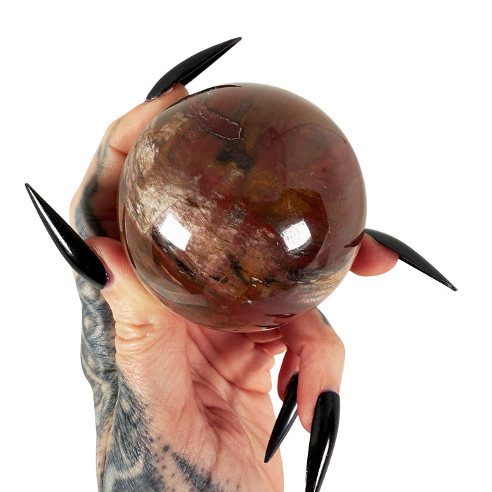 Petrified Wood Sphere 4