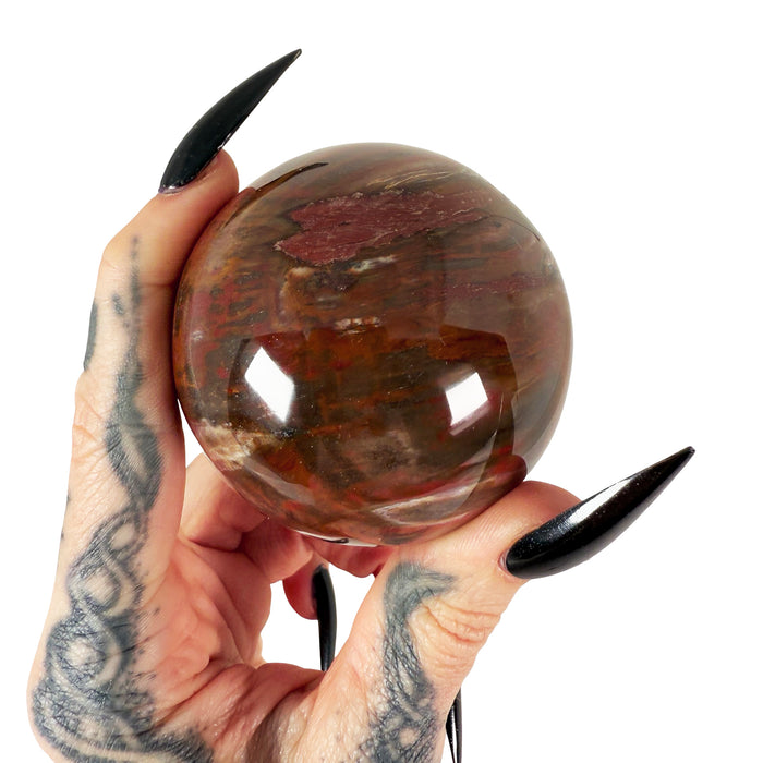 Petrified Wood Sphere 4