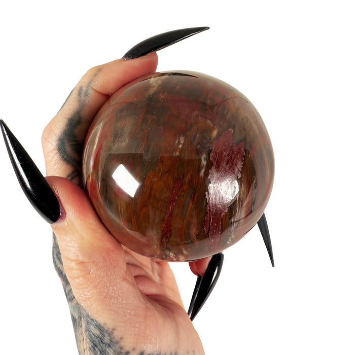 Petrified Wood Sphere 4