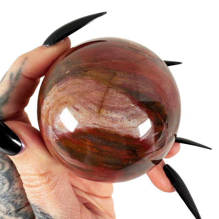 Petrified Wood Sphere 4