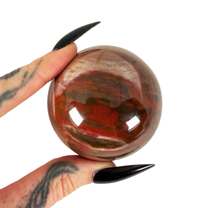 Petrified Wood Sphere 4