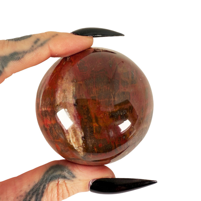 Petrified Wood Sphere 4
