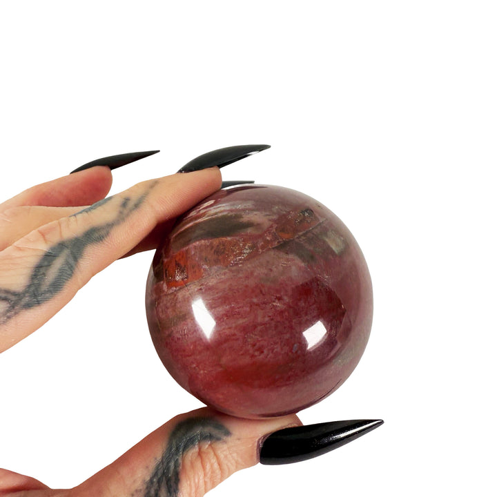 Petrified Wood Sphere 5