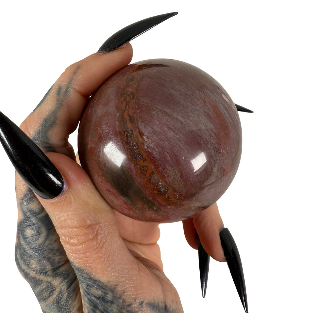 Petrified Wood Sphere 5