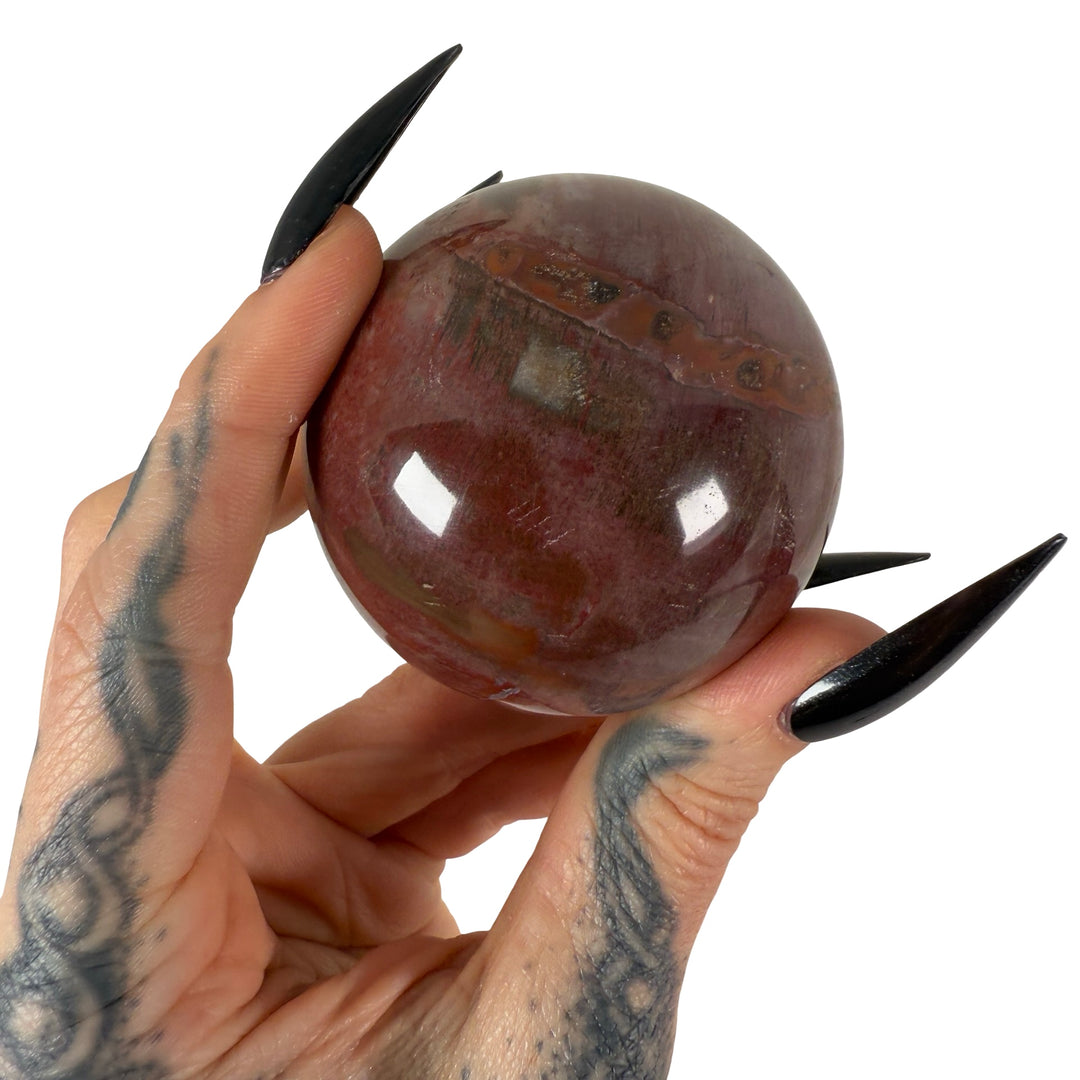 Petrified Wood Sphere 5