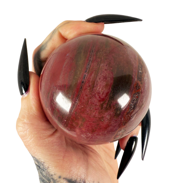 Petrified Wood Sphere 5