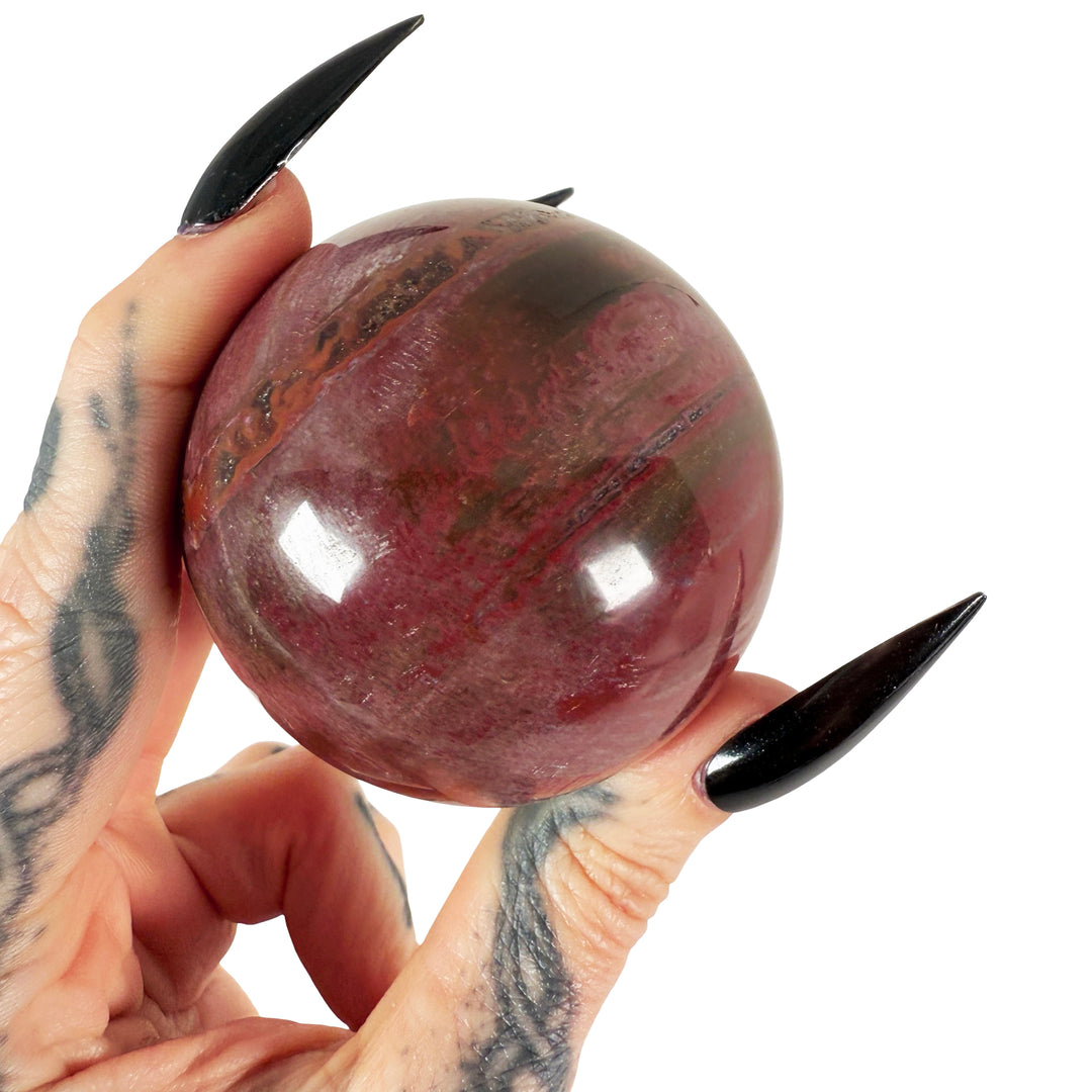Petrified Wood Sphere 5