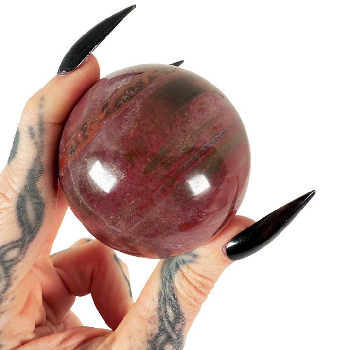 Petrified Wood Sphere 5