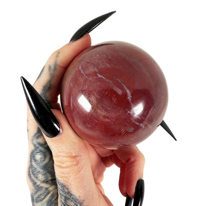 Petrified Wood Sphere 5