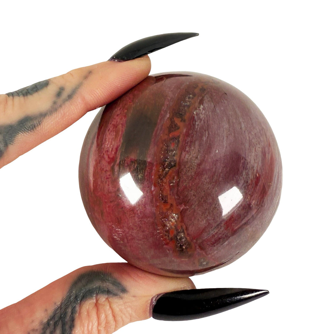 Petrified Wood Sphere 5