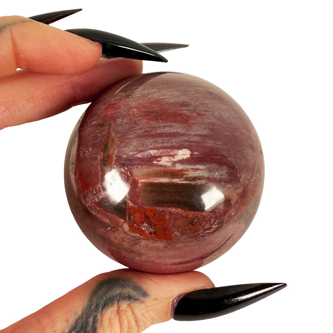 Petrified Wood Sphere 5