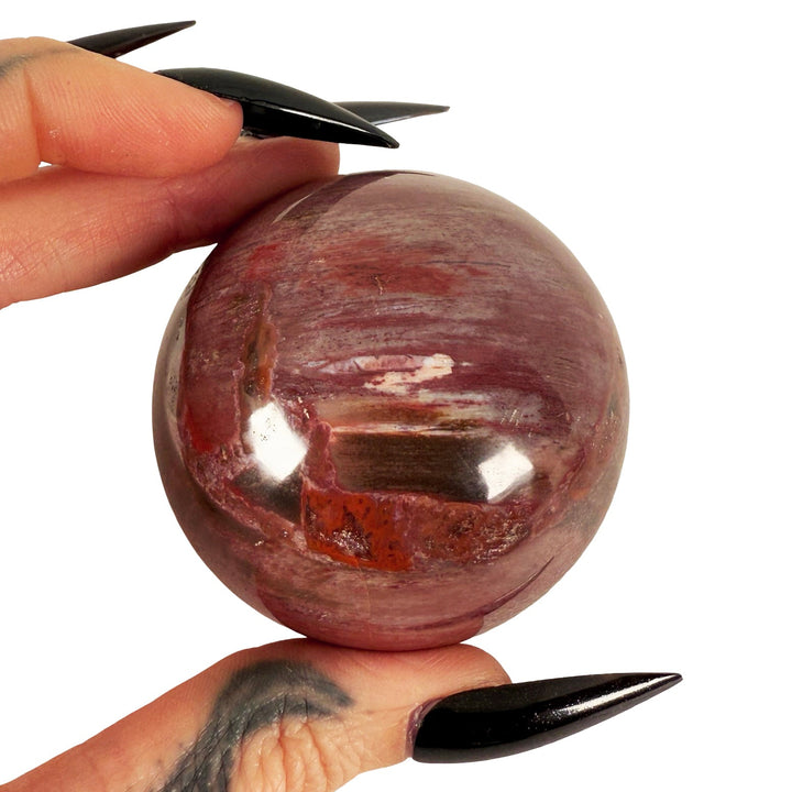 Petrified Wood Sphere 5