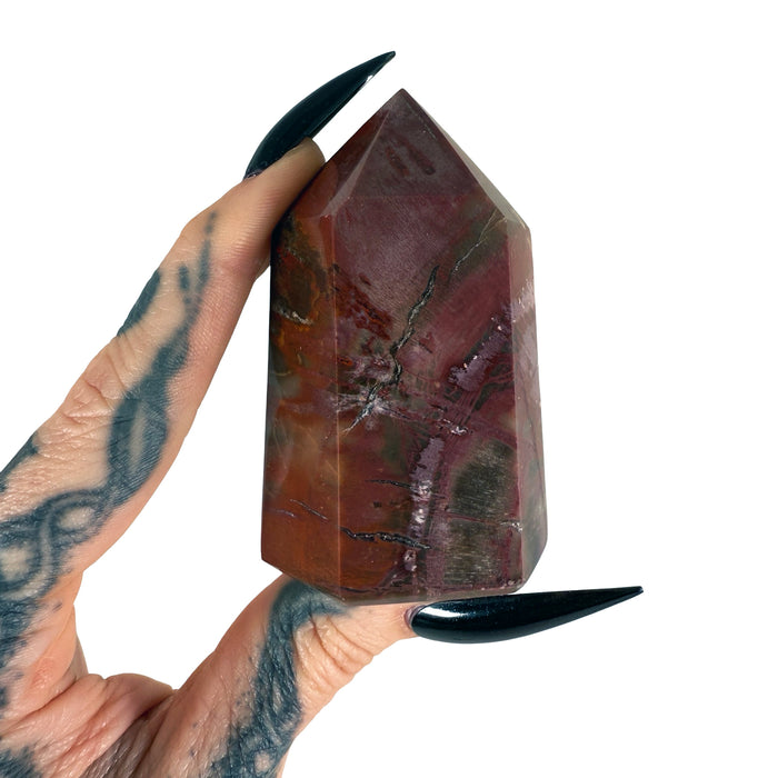 Petrified Wood Tower 10