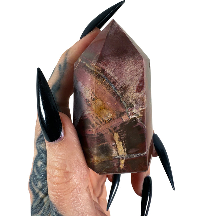 Petrified Wood Tower 10